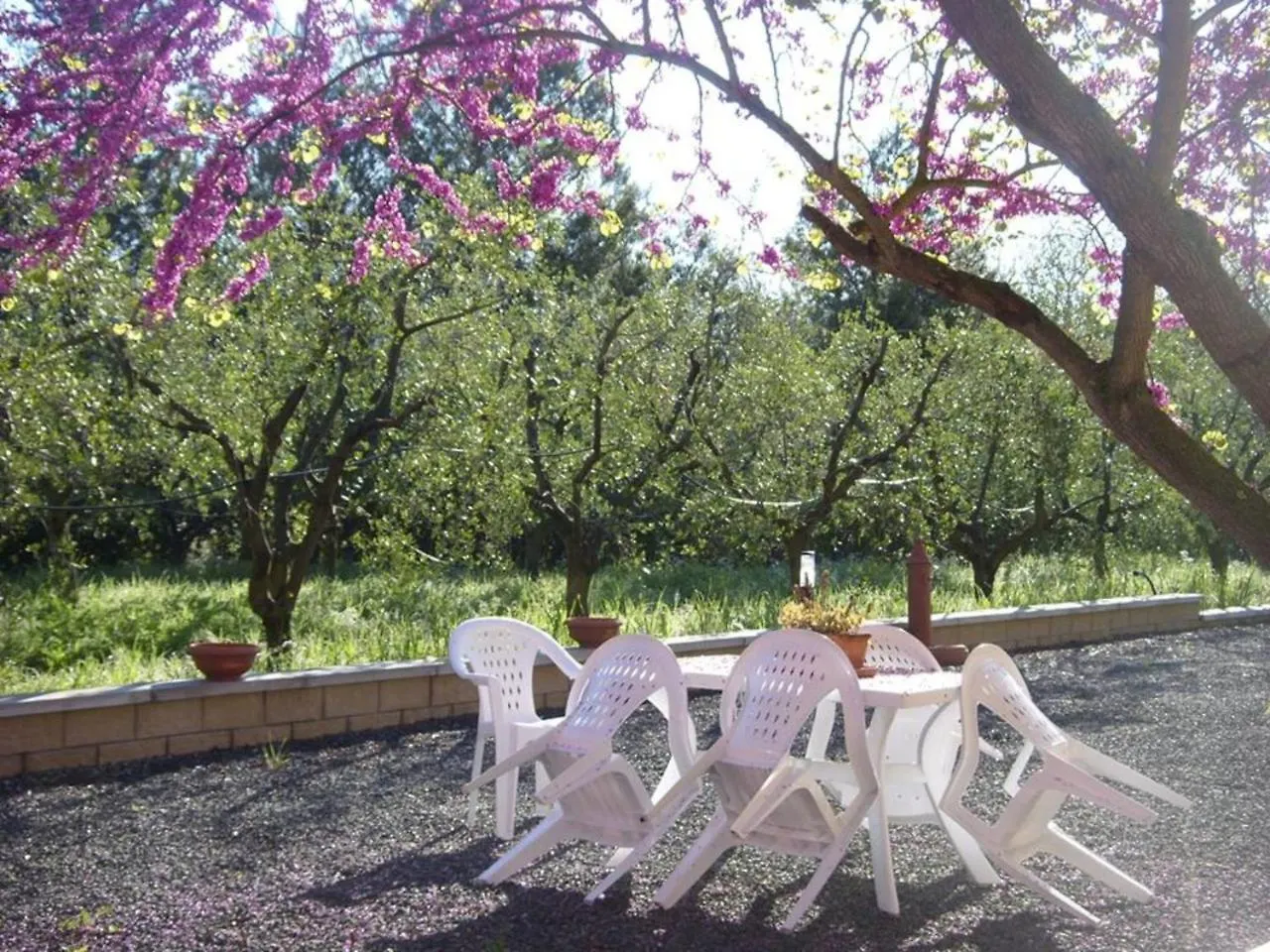 Feriegård La Ripa Del Drago Villa Bibbona